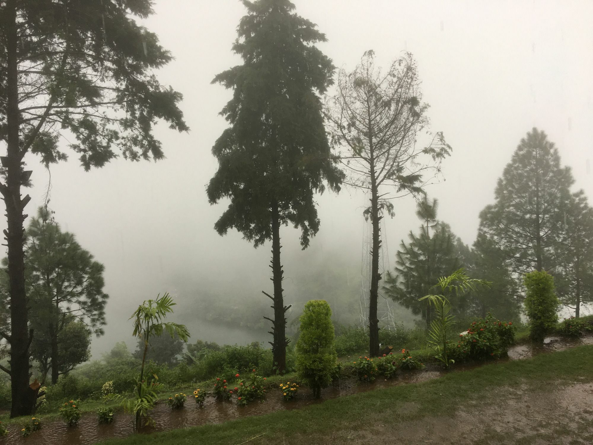 Nainital Adventure Park & Resort Εξωτερικό φωτογραφία